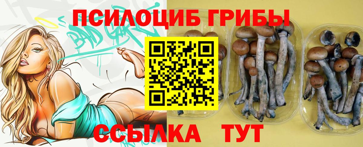 Качканар  Псилоцибиновые грибы GOLDEN TEACHER  Галлюциногенные грибы Psilocybe  Вход с VPN 